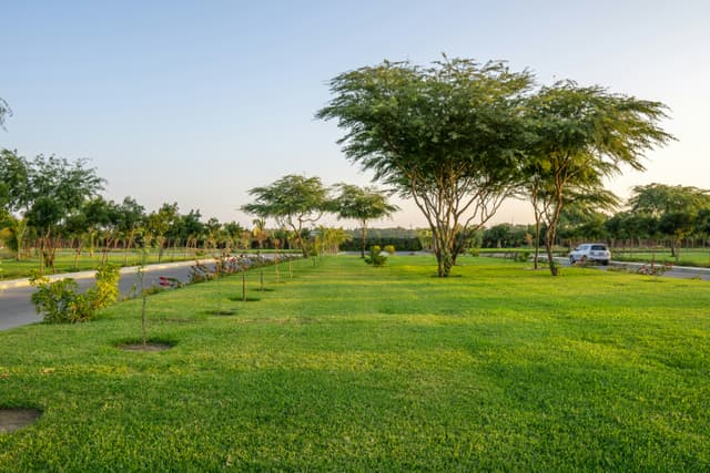 Creation and Maintenance of Green Spaces