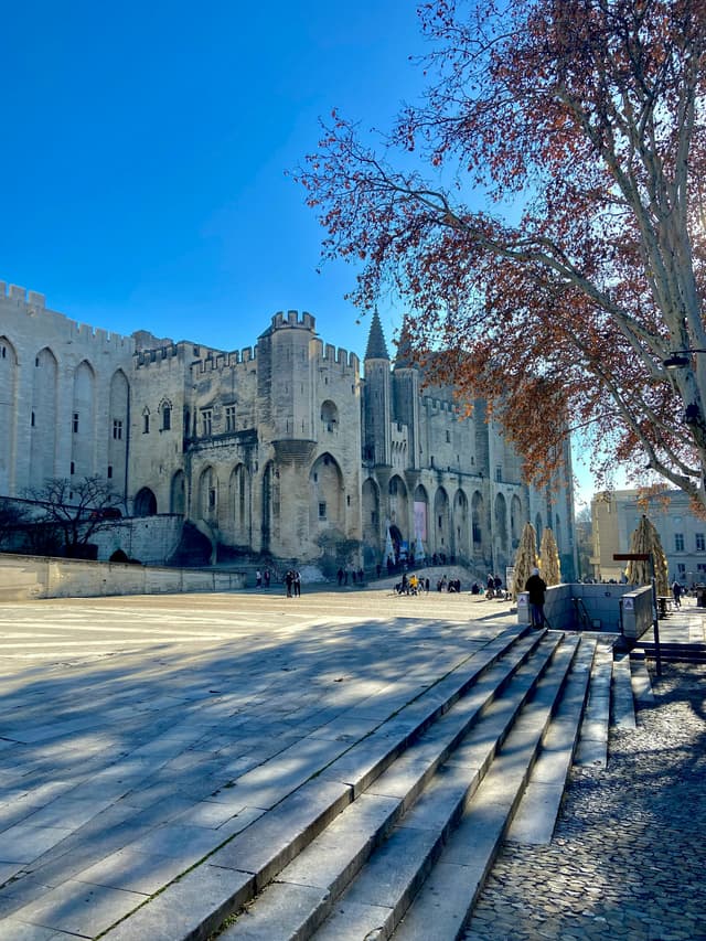 The Palais des Papes in Avignon