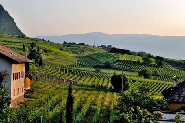 The finest vineyards of the Rhône Valley